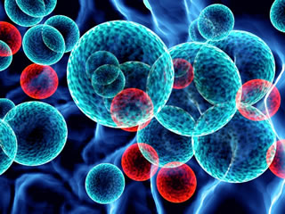Cellule staminali per combattere la sclerosi multipla