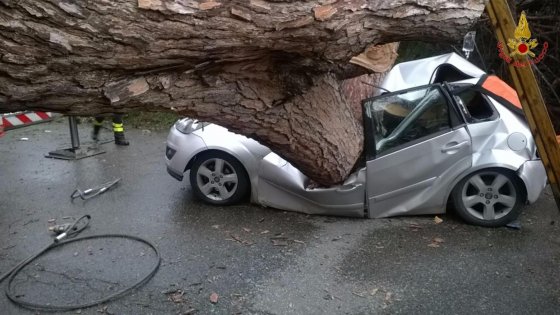 Ardea (Roma): un albero si abbatte su un'auto. Due morti e un ferito grave