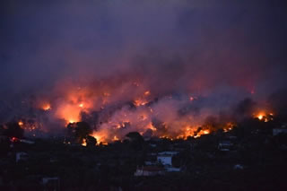 Grecia: Atene in fiamme. 70 morti e centinaia di feriti