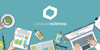 Cannabiscienza: la prima startup italiana per la formazione sulla Cannabis medica