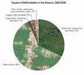 Deforestation and Greenhouse-Gas Emissions