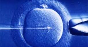 Embrioni scambiati al Pertini: i due gemelli sono stati registrati all'Anagrafe