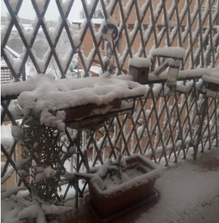 Roma si sveglia coperta di neve