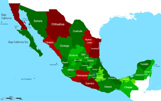 Traffico di droga: le società fantasma dei cartelli messicani