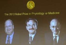 Nobel per la Medicina: a Rothman, Schekman e Sudhofper per gli studi sul sistema di trasporto cellul