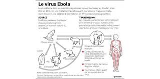 Ebola, OMS ammette: 'In Africa staff medici incompetenti'