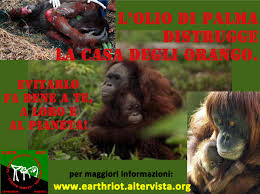 Stop all'uso dell'olio di Palma! Sosteniamo la Campagna di Tinte Forti - #NOlioDiPalma