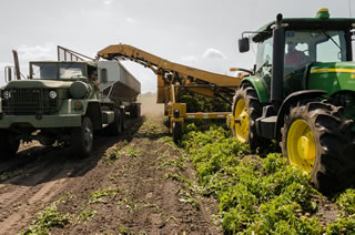 Agroalimentare di qualità: il settore non si ferma. Le misure di sostegno del governo