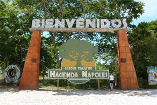 Pablo Escobar: gli ippopotami dell' Hacienda Nápoles rappresentano un pericolo