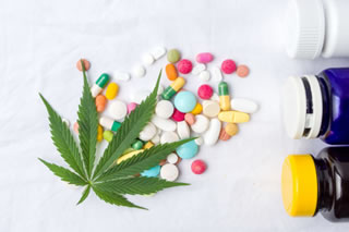 Cannabis medica: la prima clinica a prescriverla legalmente aprirà in Scozia
