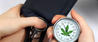 Cannabis: il consumo triplica rischio ipertensione
