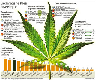 Marijuana: tutto ciò che si deve sapere 