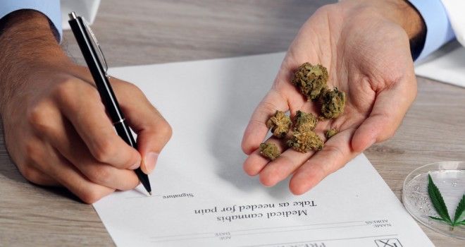 Cannabis per uso terapeutico: in Piemonte triplicati i pazienti 