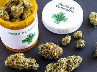 Cannabis terapeutica: segnalate 20 reazioni sospette all'Istituto Superiore di Sanità