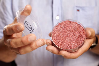 Carne prodotta in laboratorio: negli USA partono gli accordi per la produzione