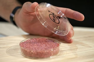 Alimentazione: carne prodotta in laboratorio potrebbe essere venduta entro due anni