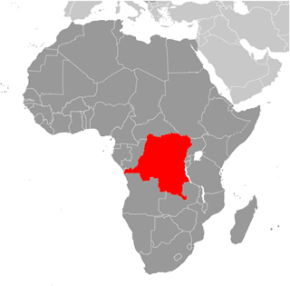 Repubblica democratica del Congo: MsF fornisce cure mediche nella regione del Gran Kasai