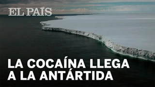 Antartide: cocaina e farmaci intossicano il mare