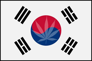 Corea del Sud: avviata l'importazione di Cannabis terapeutica