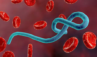 Ebola in Congo: sono oltre 100 i bimbi morti e oltre 1.100 i casi registrati