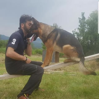 Kaos, il cane-eroe di Amatrice è stato ucciso col veleno