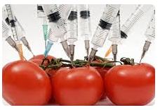 Alimentazione: allarme pesticidi nei cibi