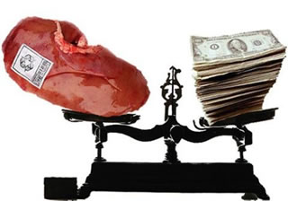 Traffico di organi in Italia: imprenditore disperato vende un rene e viene truffato