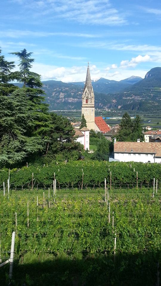 Itinerari: da Cortina a Termeno, sulla strada del vino