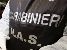 Capodrise (CE) i Nas chiudono una panetteria infestata dagli scarafaggi