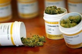 Cannabis terapeutica: liberalizzarla é un diritto per chi soffre
