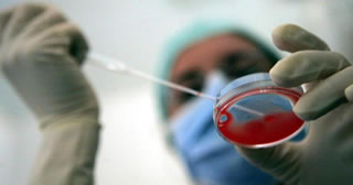 Eterologa: ricorso Consulta a Pordenone