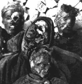 Ecco a voi, la Pandemia nostrana...